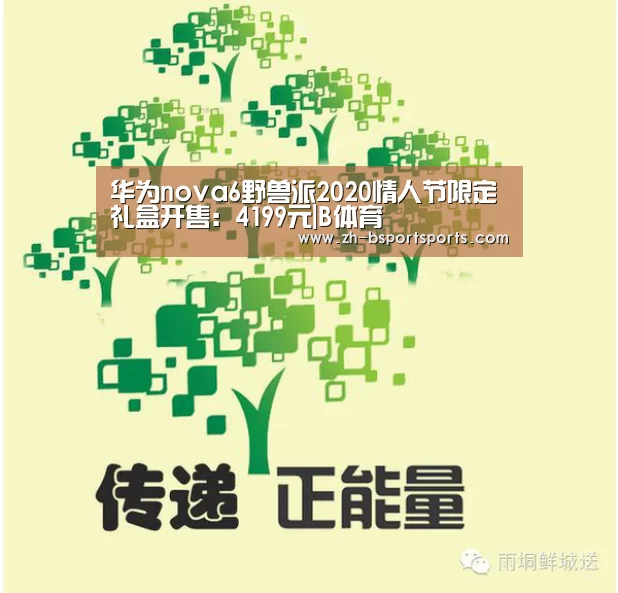 华为nova6野兽派2020情人节限定礼盒开售:4199元|B体育(图3) B体育