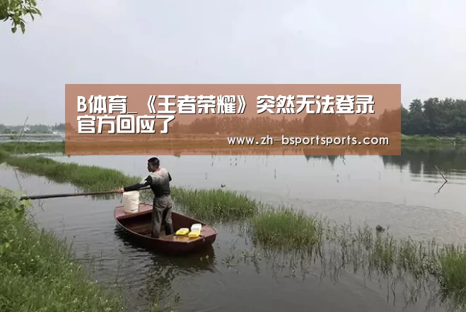 B体育_《王者荣耀》突然无法登录 官方回应了(图3) B体育