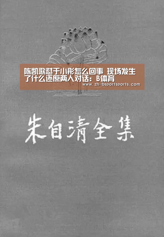 B体育